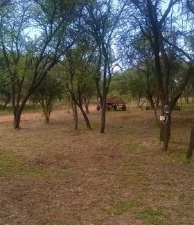 Naboomspruit Cabin | Grootgeluk