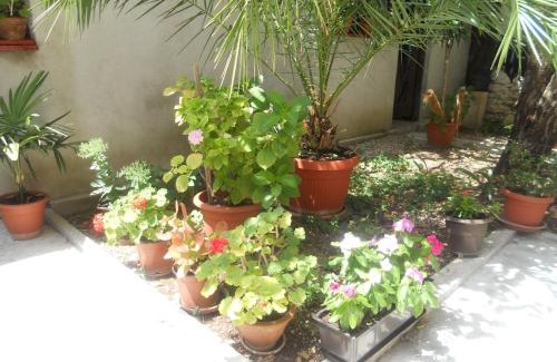 Mostar Old Town House | Guest House Goa Mostar