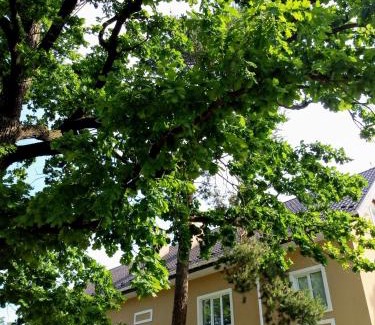 Dniprovs'kyi District Apartment | Guest house Kiev forest