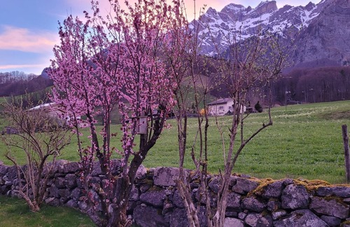 Schwanden House | Guest room "Vreneli" with terrace