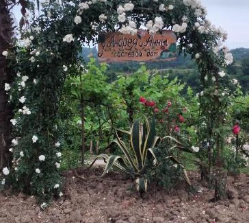 Abkhazia House | Guesthouse u Andreya i Anny