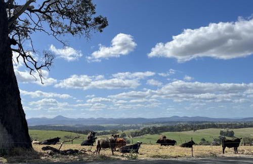 Seaton Villa | Gumnut Cottage Gippsland - Tiny Eco Stay - King Bed, Mountain Views, Fireplace