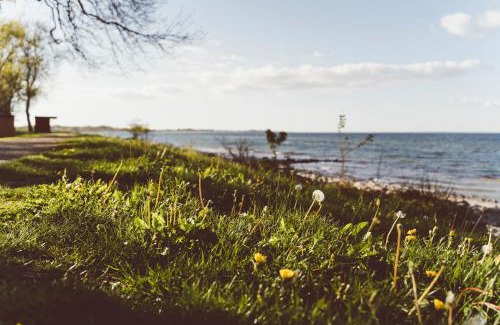 Maasholm Apartment | Gut Oehe