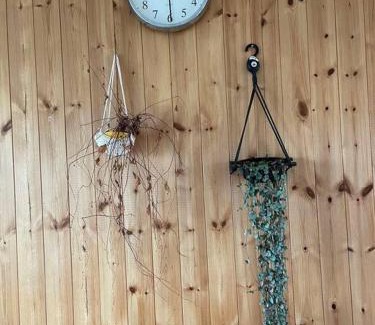 Aewol Villa | Gwakji Olle