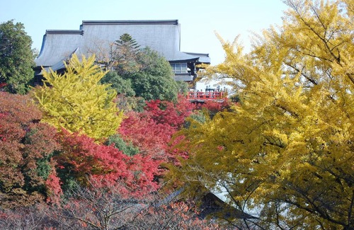 Heguri Hotel | Gyokuzoin