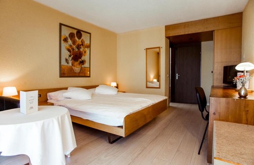 Delemont Hotel | Hôtel Le National