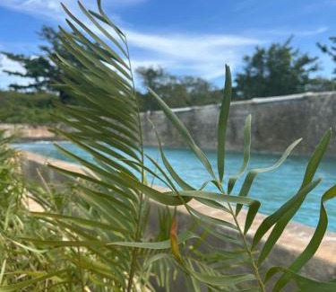 Las Galeras Apartment | Habitacion 1 en Dani's Guest House