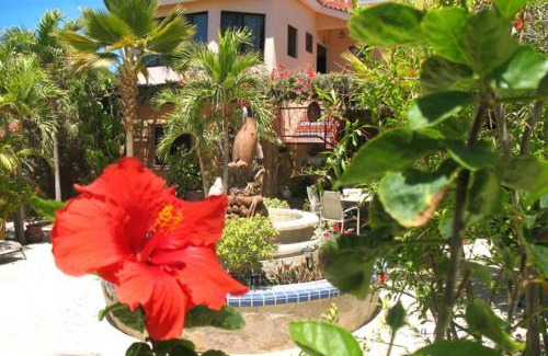 La Ribera Bed & Breakfast | Hacienda De Palmas