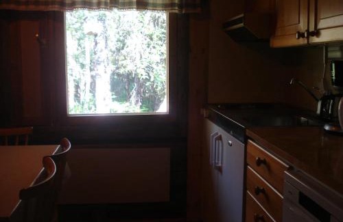 Syote Ski Chalet | Hakamajat Cottages