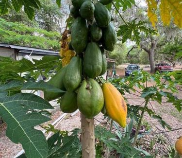 Putnam Hall House | Half Moon Lake property