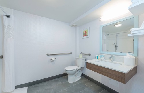 Bearss Plaza Hotel | Hampton Inn Tampa-Veterans Expwy (Airport North)