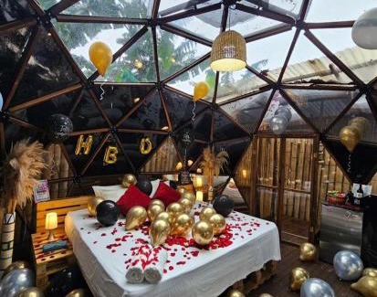 Armenia Other | Happy Glamping Quindio - Tipo Domo Traslúcido