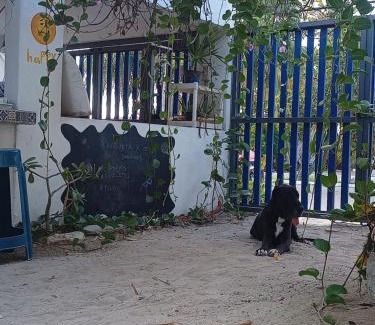 Progreso Municipality Apartment | Happy Sunsets Yucalpetén