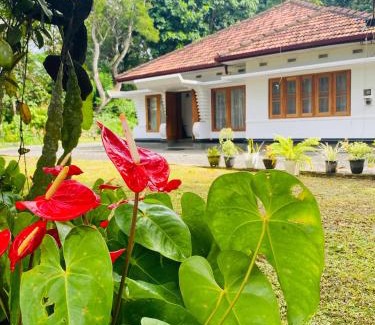 Unawatuna House | Happy Valley Residence Unawatuna