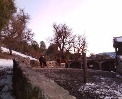 San Martin de los Andes House | Haras Casa de Campo