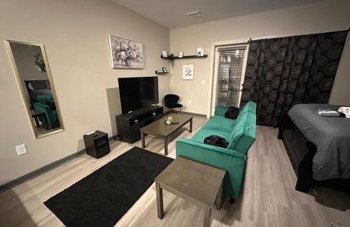 Memphis Apartment | Harbor Hollow-Studio 2 mins to Renasant