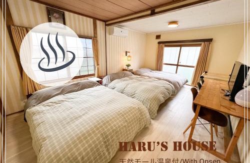 Shiraoi House | Haru's House Onsen モール温泉付き