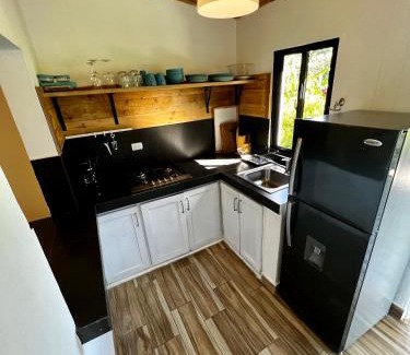 La Vega Province House | Haus unter Palmen