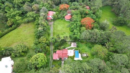 La Vega Province House | Haus unter Palmen