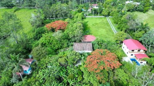 La Vega Province House | Haus unter Palmen