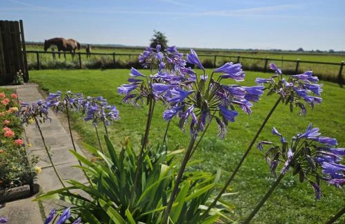 Epenwohrden House | Haus Wiesenblick