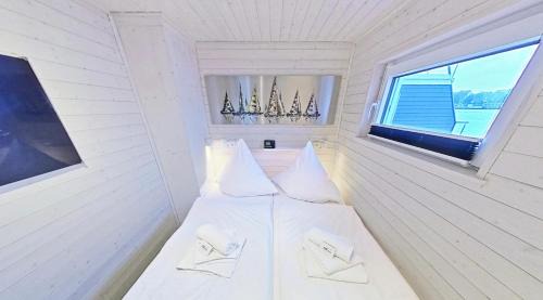 Schleswig Boat Rental | Hausboot Flying Dutchman mit Dachterrasse in Schleswig am Ostseefjord Schlei