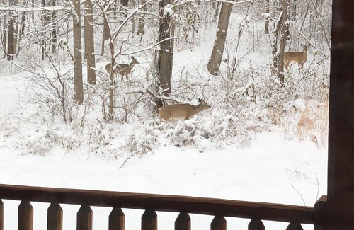 Laurelville House | Hawking Pond Cabin - Located in Hocking Hills, Ohio.