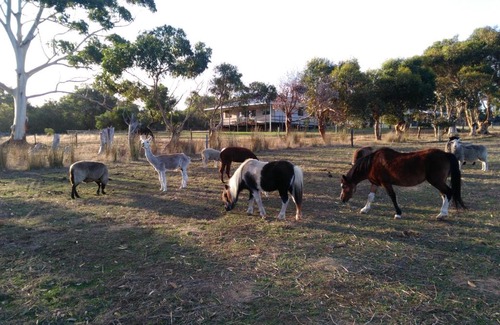 Newland House | Heartland Hideaway