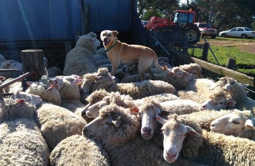 Newland House | Heartland Hideaway