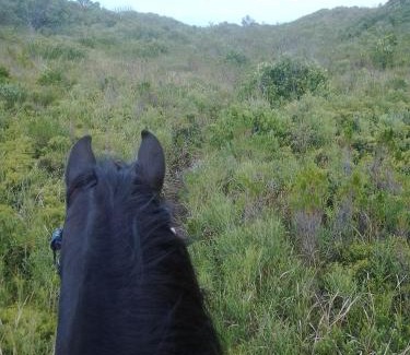 Port Elizabeth Apartment | Heavenly Stables Self Catering Accommodation