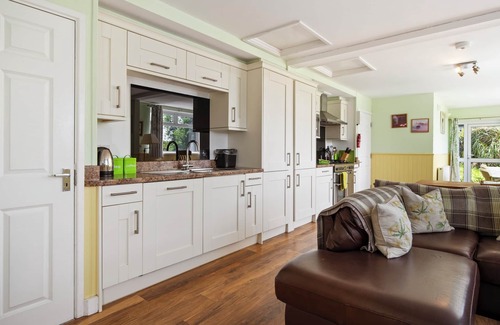 Tan-y-groes Cottage | Hedgerow at Gorslwyd - Sound Retreat