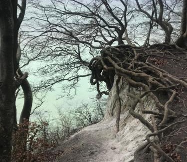 Wiek Apartment | Hering FeWo II Apartment Balcony