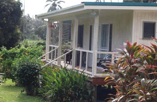 Matavera House | Hibiscus homely farm cottage Bikes and Breakfast