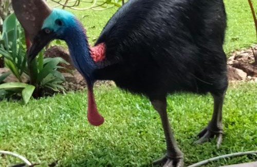 South Mission Apartment | Hidden Gem Holiday Let