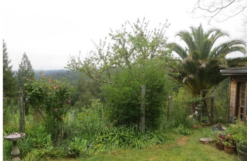 Philo House | Hidden Gem in the Lush Redwoods, close to Wineries & Coast