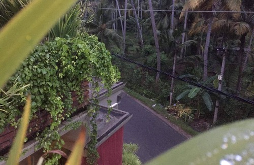 Unawatuna Villa | High-end Villa With Luxury Cleanliness