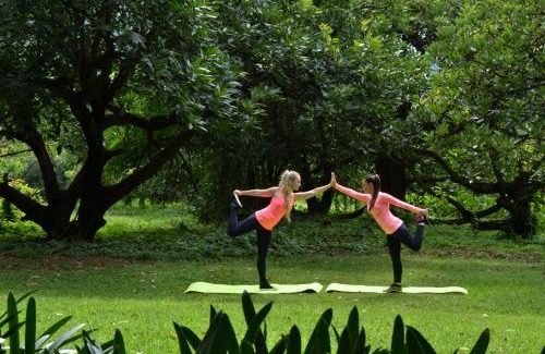 Ligfontein House | Highgrove House Country Hotel, Restaurant, Farm & Spa