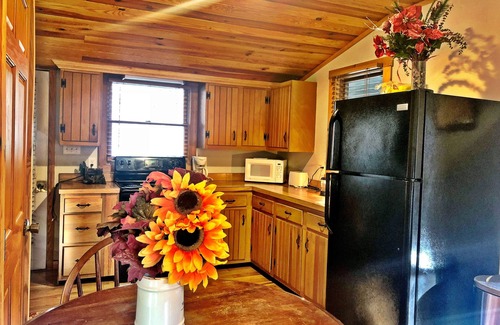 Elkton Cabin | Hike,Hot Tub,Massanutten Resort,LurayCaverns,Skyline Drive, Snow Tube/Ski.