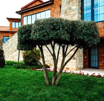 Gabala Hotel | Hill Chalet Hotel Gabala