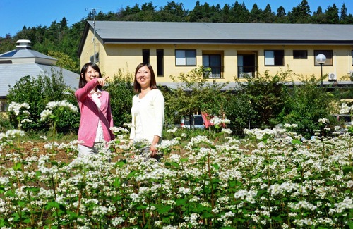 Hiraizumi House | Hiraizumi Hot Spring Ryokan Soba'an Shizukatei