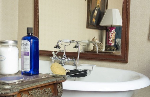 South 7th Ward Hotel | Historic Designer Compound w/2 Homes, Pool + Spa, French Quarter/Marigny