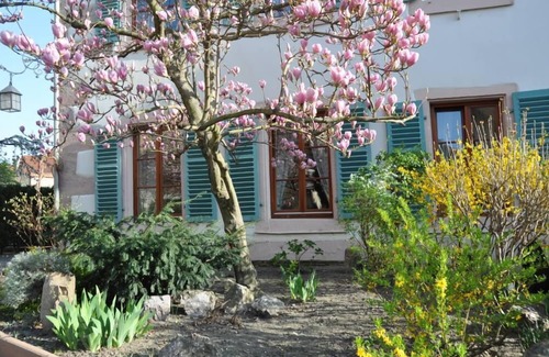 Old Town Apartment | HISTORICAL CENTER, APARTMENT WITH GARDEN, PARKING outside Christmas market period