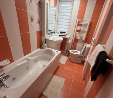Craiova Apartment | Hive Boutique-Apart Craiova