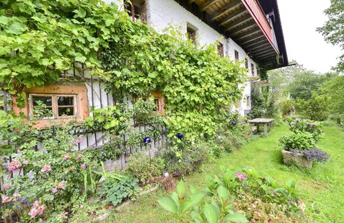 Neureichenau Apartment | Hofatelier Menacher Manorial room - 85sqm with fireplace and terrace