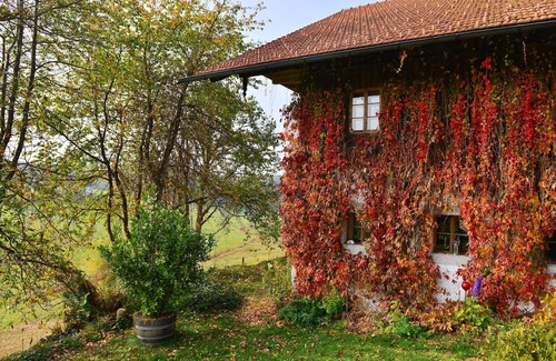 Neureichenau Apartment | Hofatelier Menacher Manorial room - 85sqm with fireplace and terrace