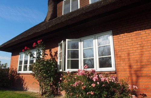 Fedderswarf Apartment | Holiday apartment Oystercatcher