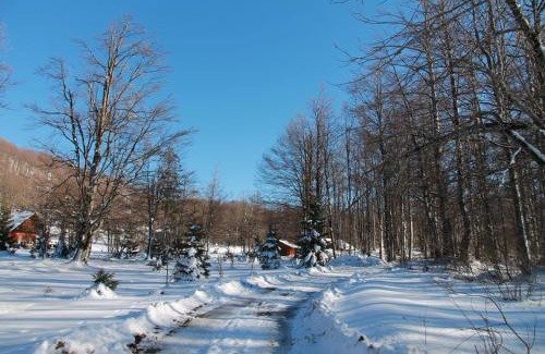 Delnice House | Holiday Home Edi