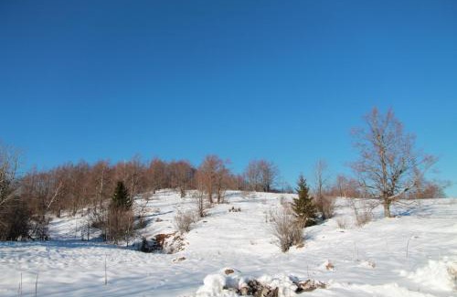 Delnice House | Holiday Home Edi