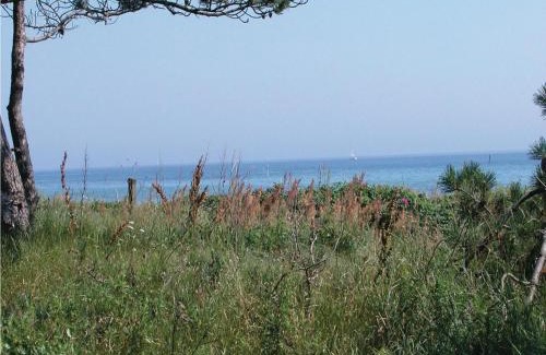 Elsegarde Strand House | Holiday Home Kristoffervejen Ebeltoft Xi