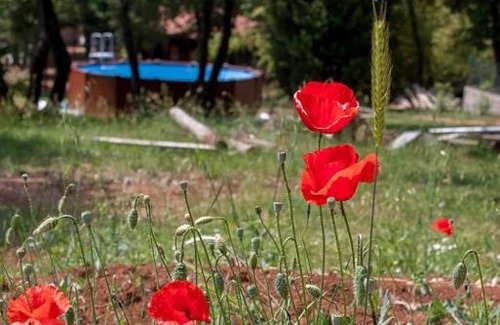 Loborika House | Holiday Homes D&D